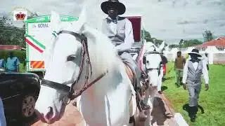 Introducing Queen's Royal Carriages