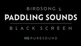 Paddling Sounds & Birdsong - Black Screen - Kayaking down a River - Birds Singing - Sleep & Relax