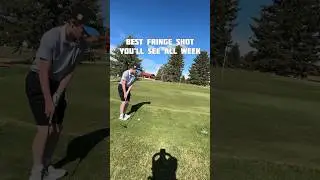 Best Fringe Shot You&rsquo;ll See All Week&hellip; #golf #fringe #puttinggreen #youtubeshorts
