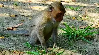 Orphan girl Jessie not good healthy she diarrhea