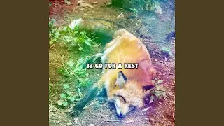 Trial Of Sleep