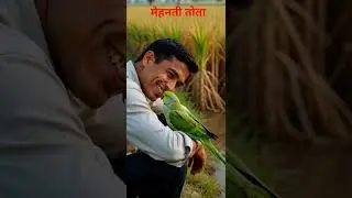 #cartoon #comedy #story #parrot #field