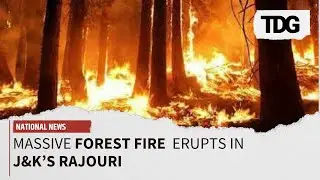 Forest Fire:   Fire engulfs forest belt in J&K'S Rajouri, Disrupts Normal Life