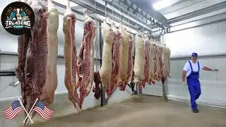 Shocking ! Inside Korea&rsquo;s Cutting Edge Pork Factory Where Tradition Meets High Tech Innovation
