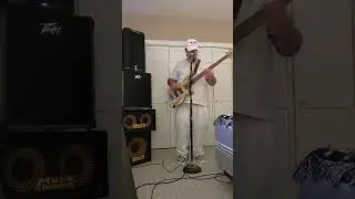 THE WEIRDO PUNK  