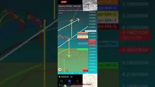 👀XRP XLM BTC DOGE🆘TRADING ALERT EASY RELAXING PROBABILITY BASED TRADING  BULLISH OR BEARISH