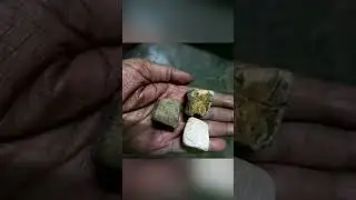 METEORITE COLLECTOR.