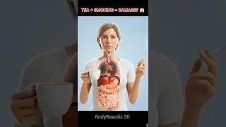 ☕🚬 What Happens When You Drink Tea & Smoke? | Inside Her Body in 3D 😱#health #healtheducation#shorts