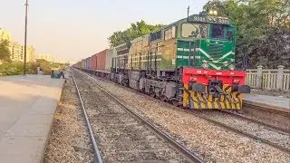 Freight Train & Express Train in Action At Drigh Colony Karachi | Roaming Goats | Pakistan Railways