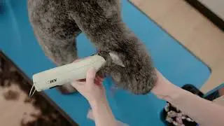 Wahl KMC+ Clipper