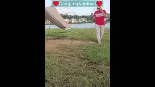 💯💯camping&animal💯💯#tonysharkcamping#reels #shortvideo#350#andamanvlog #arjanvailly#animal