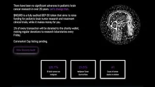 What is Neuro Charity Crypto Token?