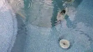 Bubbles means flow