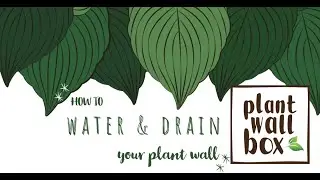 How to water and drain your vertical plant wall [PLANTWALLBOX]