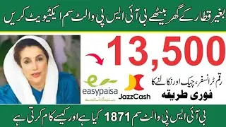 BISP Wallet SIM 8171 Activation Full Guide 2025 | How to Activate BISP Wallet SIM Step-by-Step