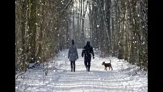 Winter Walking Challenge Week 1 Raffle