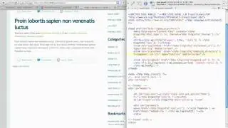 WordPress Tutorial: Pagination Code Snippet 2/2 [HTML2WP screencast]