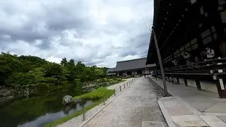 【Japan Walk】Kyoto city: Walk through Tenryū-ji garden in summer.