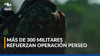 Ejército ingresa al cañón del Micay para cerrar corredores de disidencias de Iván Mordisco