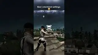 Best Colorblind Settings! 🤩