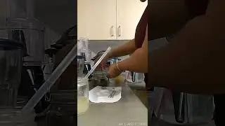 Day 1 | Body transformation | Purge
