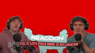 ARGENTINOS REACCIONAN A José Madero - Teo, El Gato Persa Rinde Su Declaración