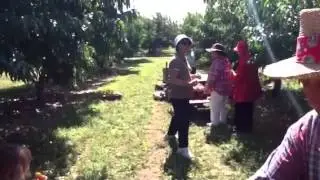 Peach picking 15000 Niagara Parkway