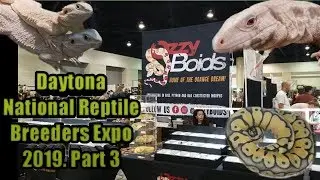Daytona National Reptile Breeders Expo 2019. Part 3