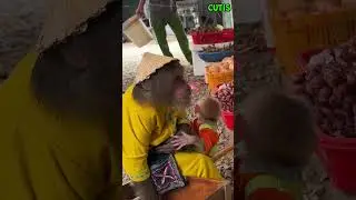 CUTIS and Baby Monkey Work Hard Together to Help Their Mom Go to the Market #cutis #monkey #animals