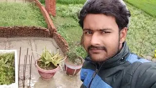 Home enjoy 😱 #video #nature #naturevillage #villagemasti #2022