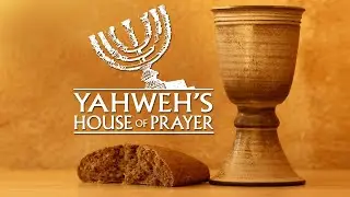 Torah Discussion - The Torah of Exodus #freedom