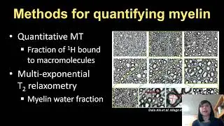 OHBM 2022 | 2953 | Educational Course | Quantitative MRI for in vivo histology | Part 5