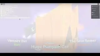 someone hatched a pumpkin huge cat!! (Jblox)