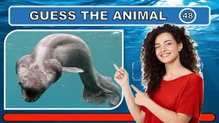 Guess the Sea Animal in 3 Seconds | Game for Kids | Ocean and Sea Creatures Names | Family Fun Game