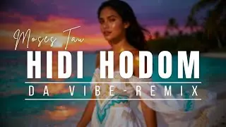HIDI HODOM | Moses Tau | DA VIBE REMIX