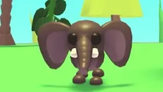 trading the new bush elephant!! new pet trade in adopt me #Roblox #adoptmetrade #bushelephant
