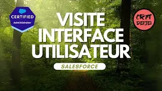 8. Visite interface utilisateur #salesforce #formation #gratuit