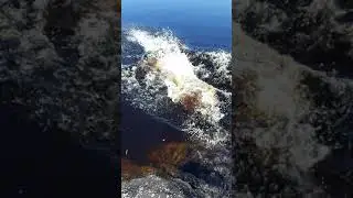 Talviturkinheitto edesniemi 15.5.2018