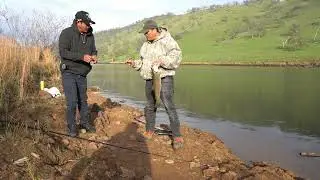 Vamanos de pesca