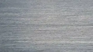 Jorduggla 7 oktober, Laholmsbukten, Halmstad