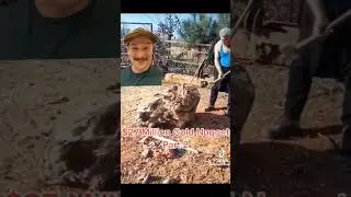 $27 Million Gold Nugget | Part 2