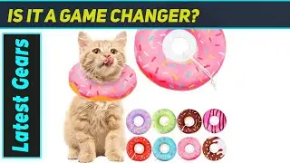 Cat Cone Collar: The Ultimate Comfortable Recovery Aid