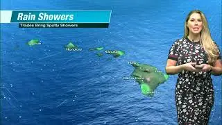 King Tide Forecast for Hawaii with Meteorologist Skylar Spinler