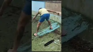The last one😂 #lastone #fails #funfails #pets #funny #shorts