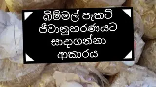 පොලිතින් කවරෙන් ගෙදර ඉදලා මාසෙට ලක්ෂයක් උපයන්න. #mushroom buiseness#bimmal wagawa#Jeewanuharanaya#