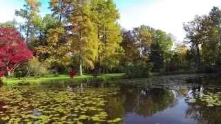 Kopter Flug See Herbst Kopterfl&uuml;ge Frankfurt am Main Drohne 4K