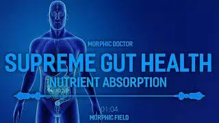 Supreme gut Health & Nutrient Absorption/morphic field