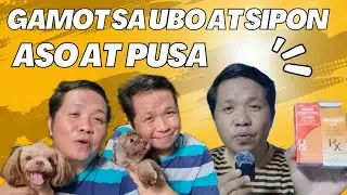 GAMOT SA UBO AT SIPON NG ASO AT PUSA