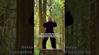 Tai Chi Qigong 18 movements 1  Commencing the Form 起势调息