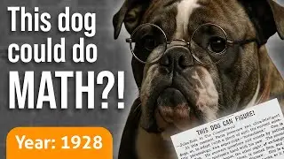 This Dog Can Figure! | Herald and Review (1928)